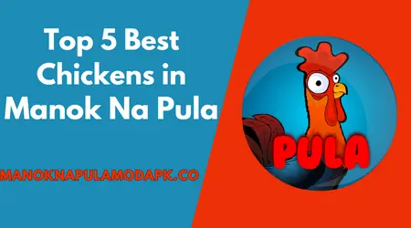 Top 5 Best Chickens in Manok Na Pula
