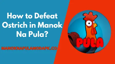 how to defeat ostrich in manok na pula